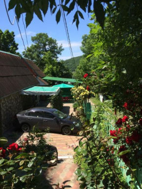 Green House